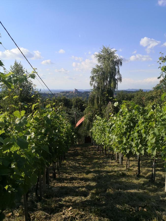 Vikendica Sirec Villa Ptujska Gora Exteriör bild